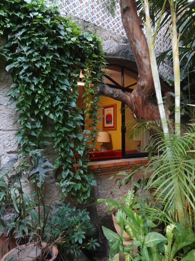 特拉克帕克Casa De Las Flores住宿加早餐旅馆 外观 照片