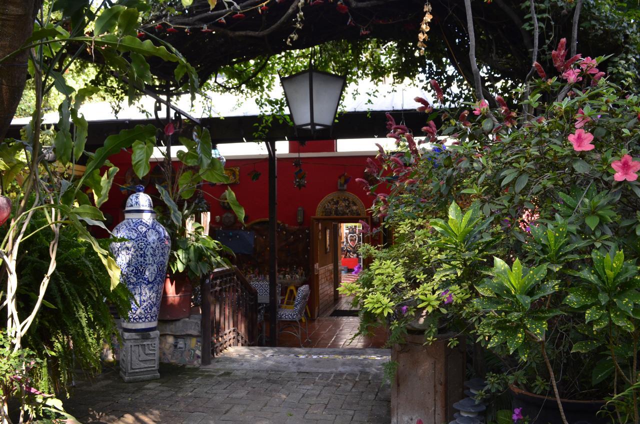 特拉克帕克Casa De Las Flores住宿加早餐旅馆 外观 照片