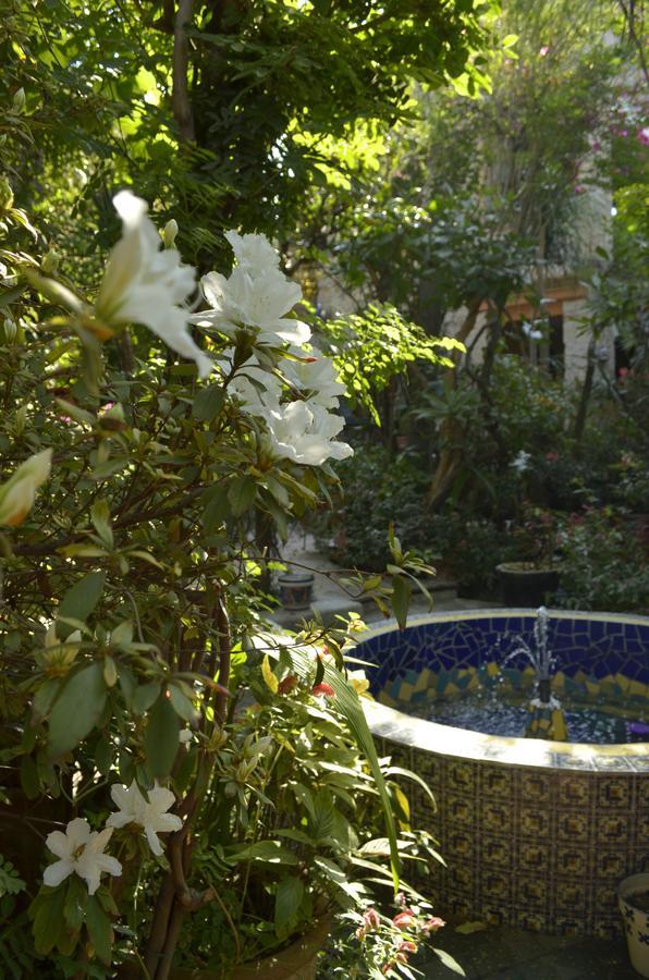 特拉克帕克Casa De Las Flores住宿加早餐旅馆 外观 照片