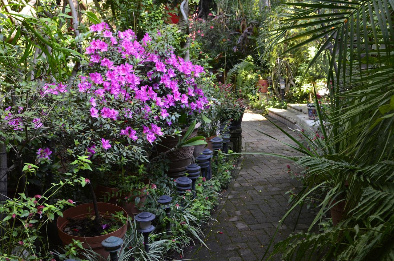 特拉克帕克Casa De Las Flores住宿加早餐旅馆 外观 照片